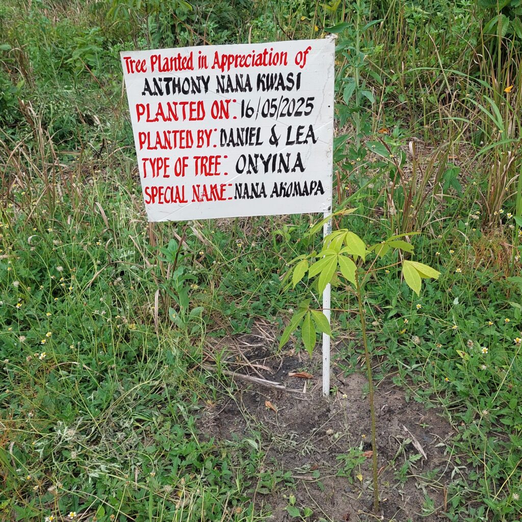 baum mit schild 01