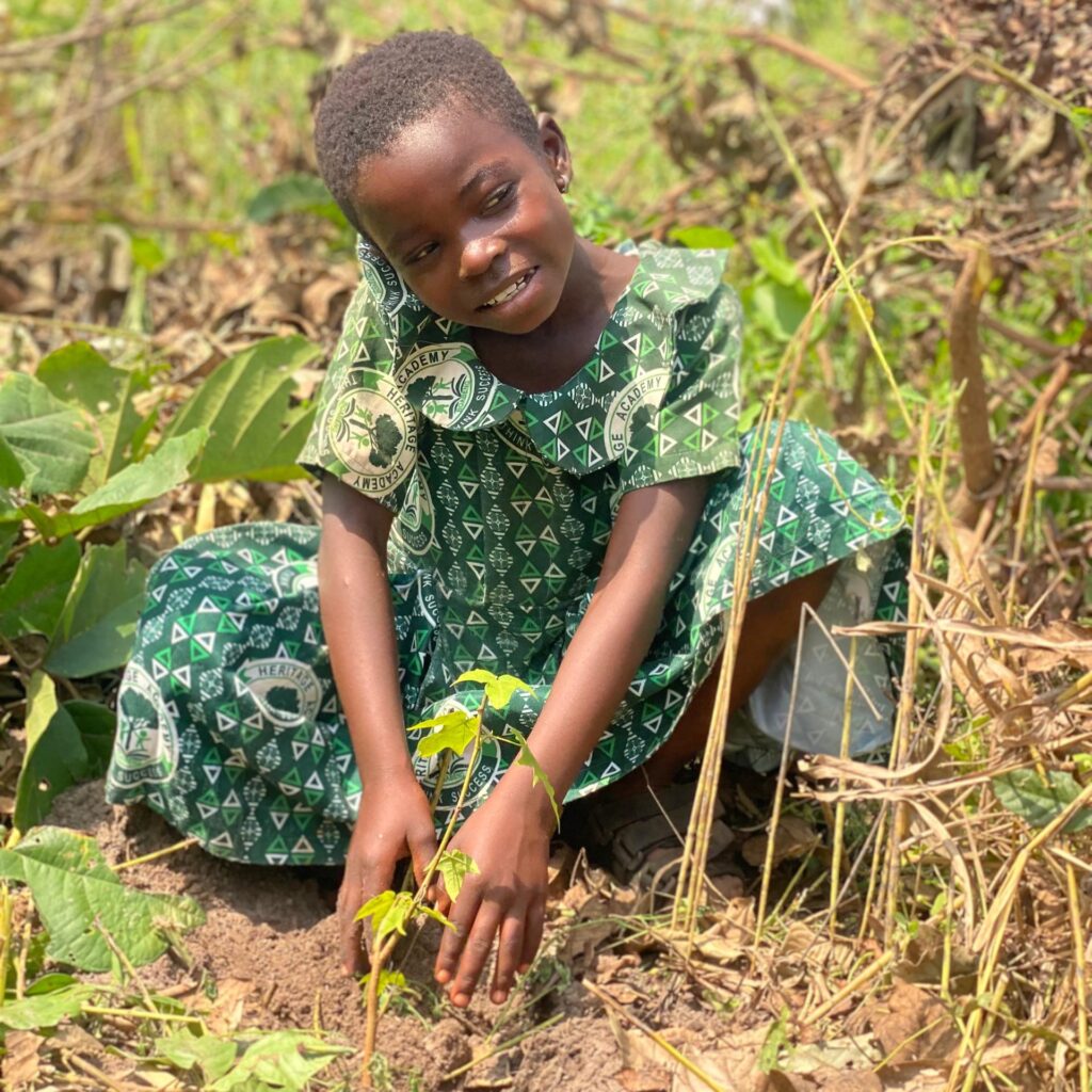 Home img 20251224 wa0153